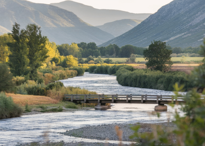 Best Day Trips From NYC to Relax and Explore Nearby Places
