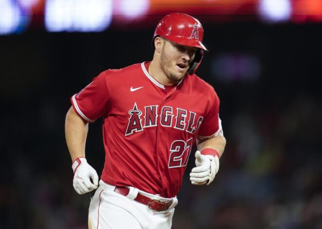 Andrew Velazquez: Rising Star of Baseball You Should Know