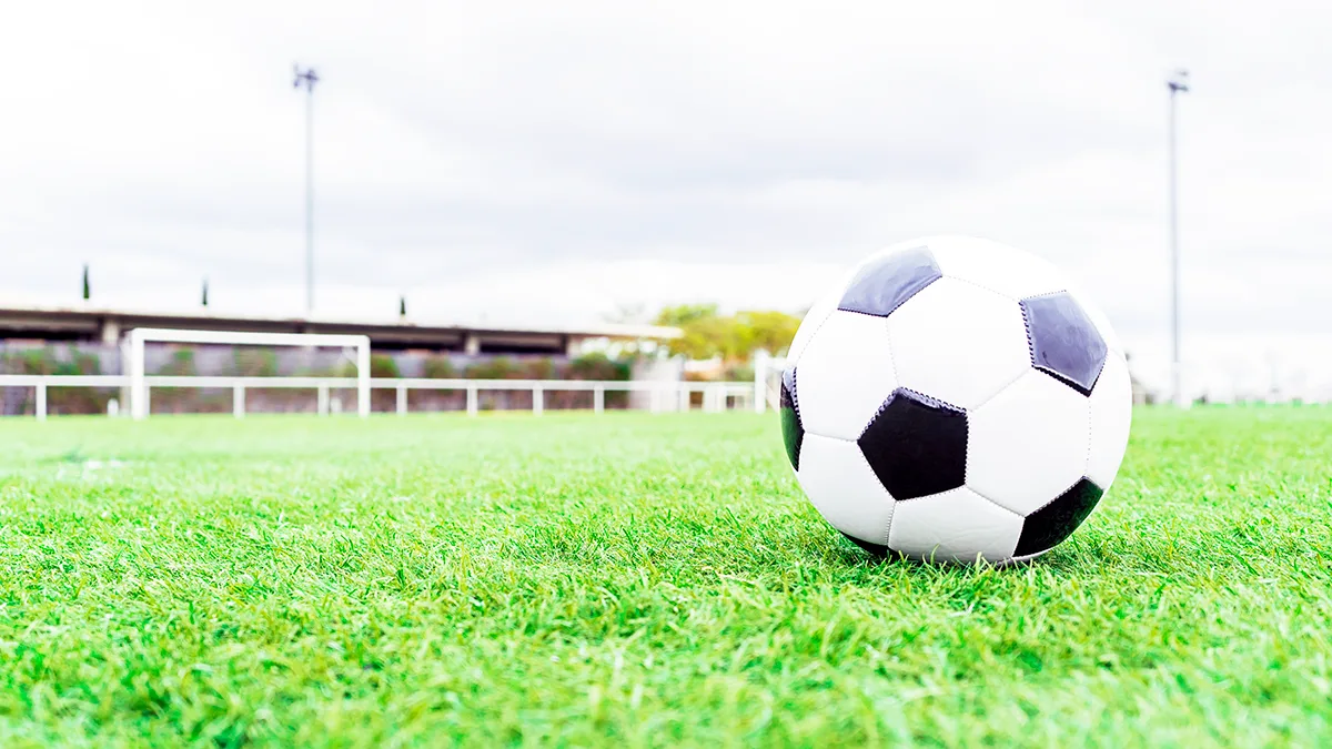 Online Casino Favorites: Slots, Roulette & Live Blackjack Leading the Charts